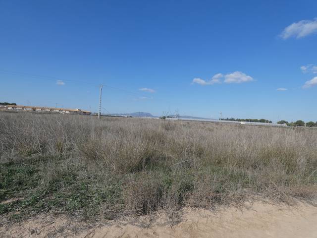 Terreno residencial en Venta en Balsicas