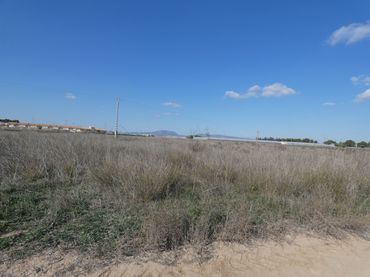 Terreno residencial en venta en Balsicas