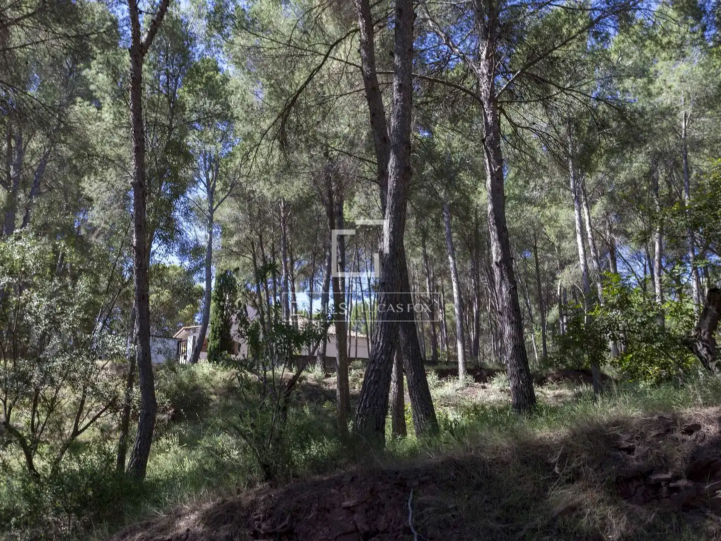 Chalet con jardín en venta en Casco Urbano, imagen 42