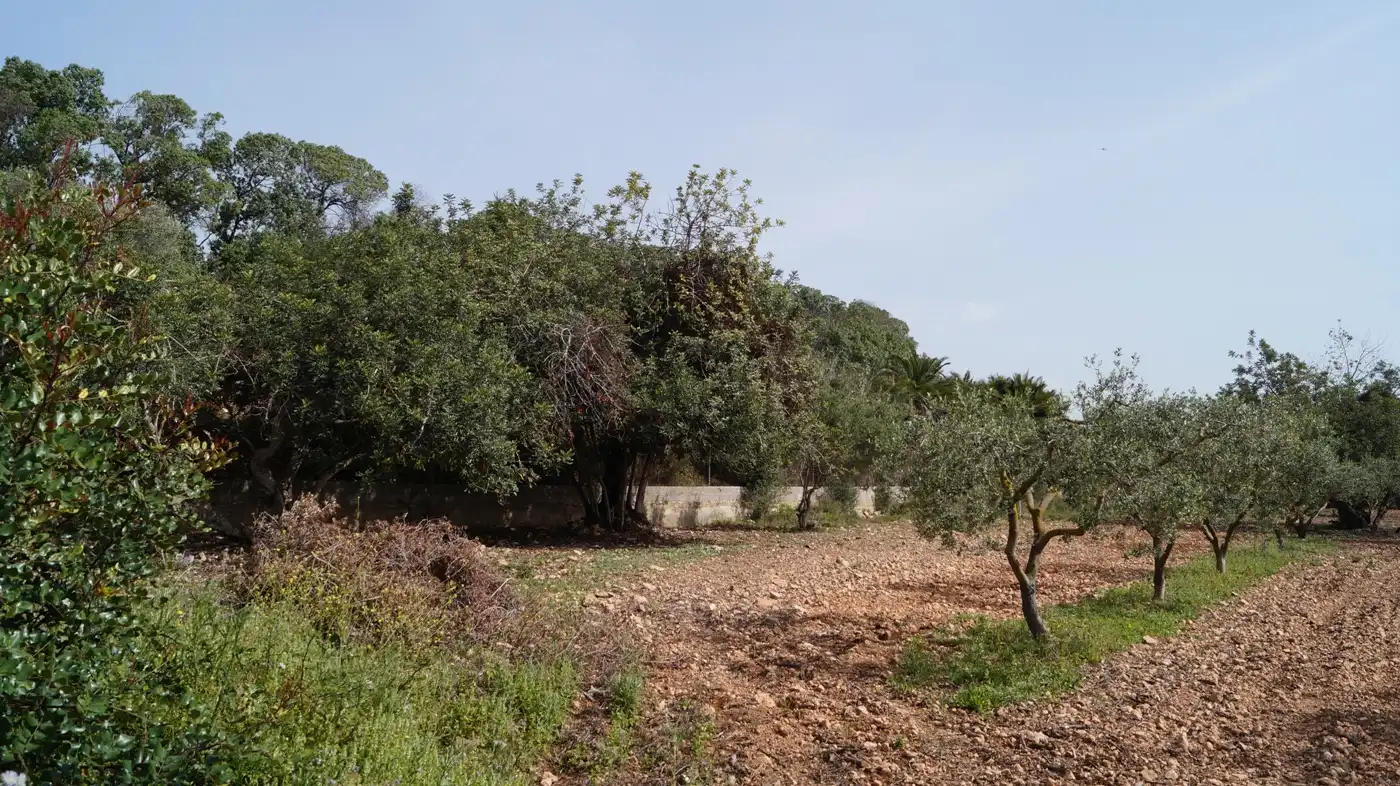 Terreno en venta en Torredembarra