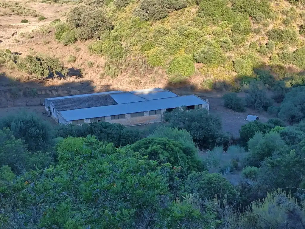 Exterior view of Residential for sale in Morón de la Frontera