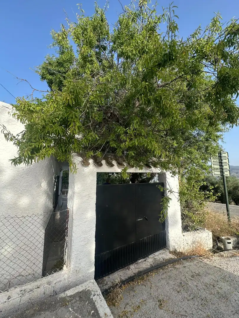 Vista exterior de Finca rústica en venta en Somontín