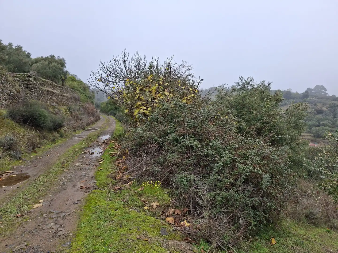 Terreni e lotti in vendita a Malpartida de Plasencia