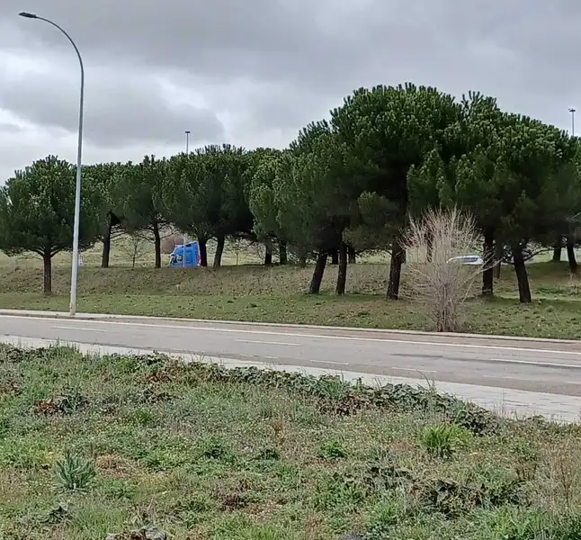 Terreni e lotti in vendita a CARBAJAL, imagen 7