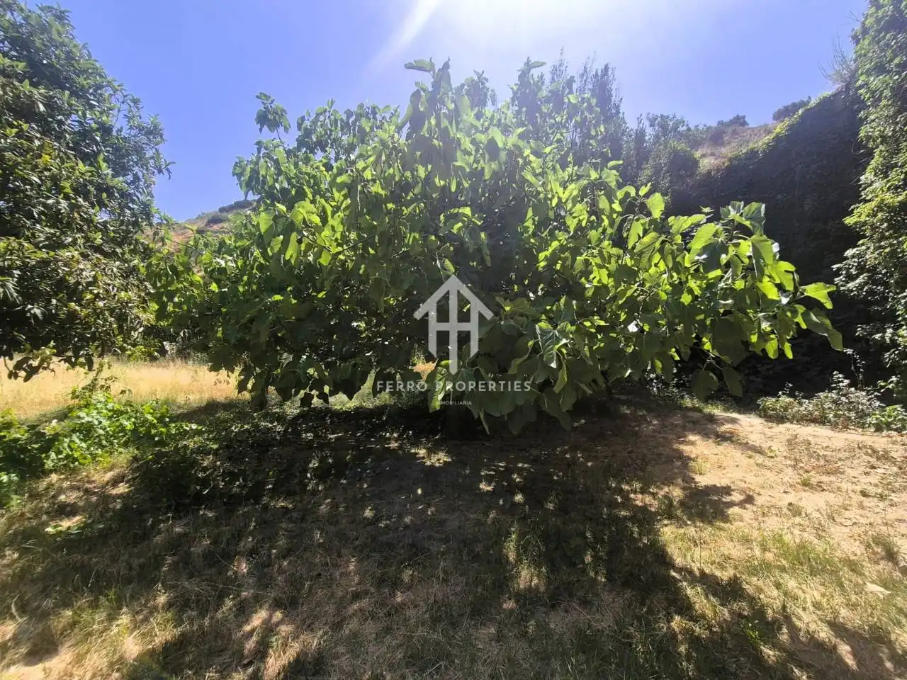 Terreno rustico in vendita a Loja, imagen 5