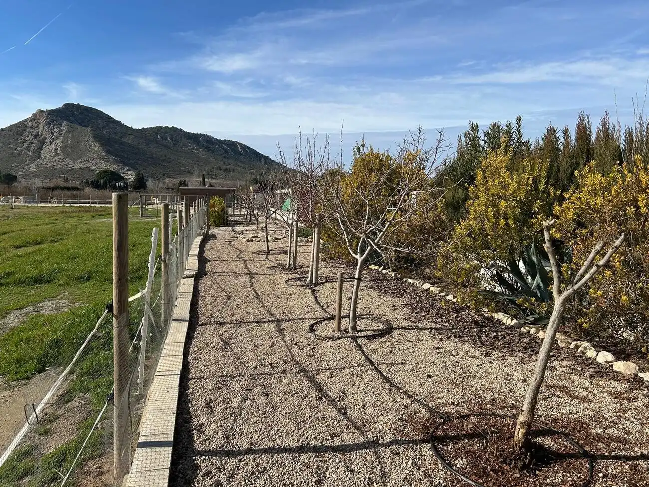 Finca rústica en venta en Villena con Piscina