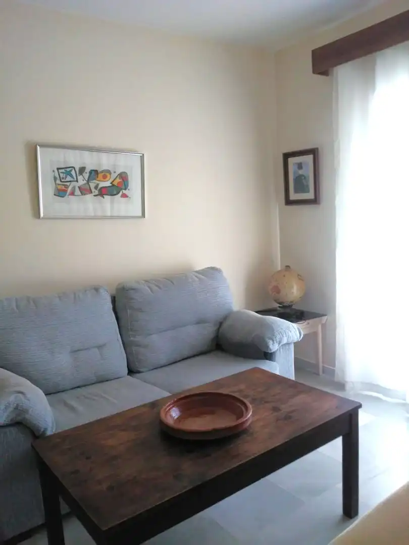 Piso de alquiler en Calle Borregueros, 25, Ayuntamiento - Barrio Alto
