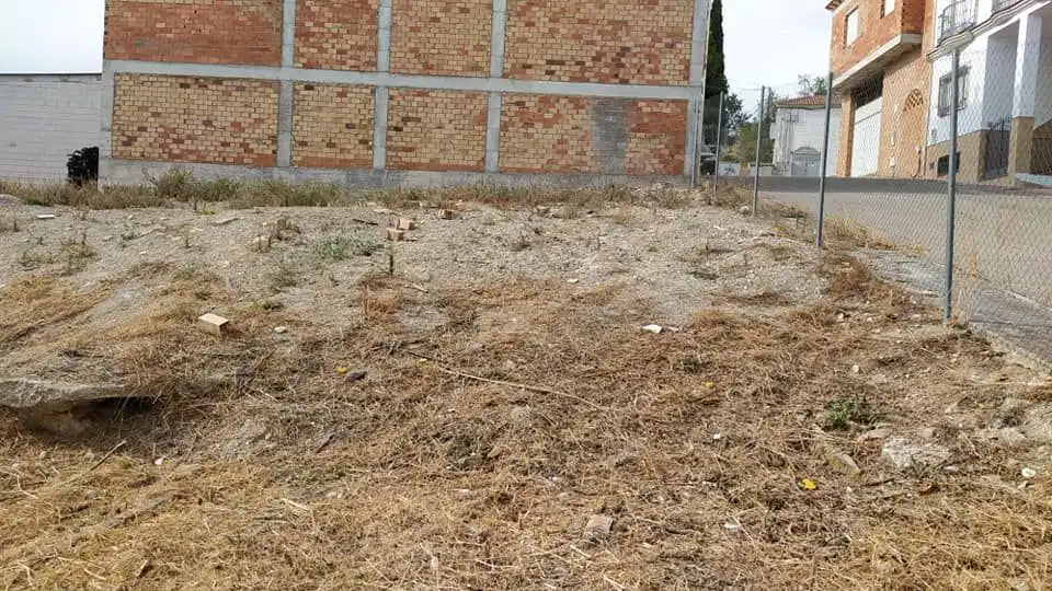 Terreni e lotti in vendita a Calle Benjamín Palencia, imagen 2