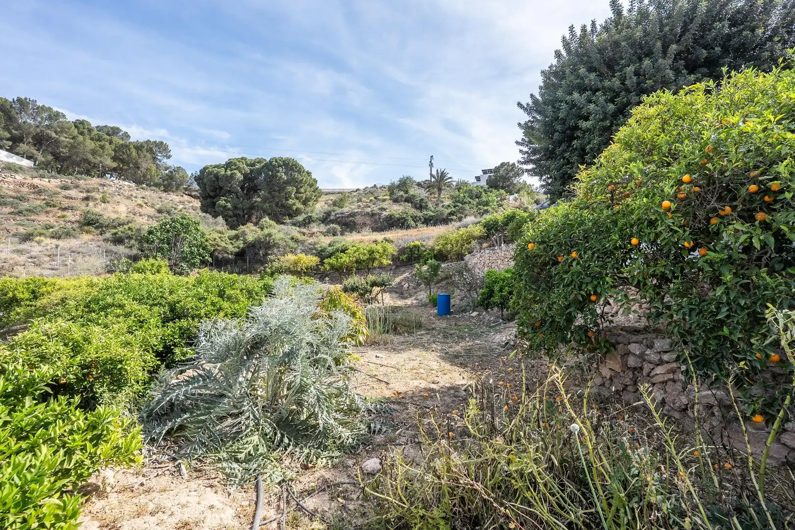 Casa o chalet en venta en Alhama de Almería con Jardín privado y Terraza