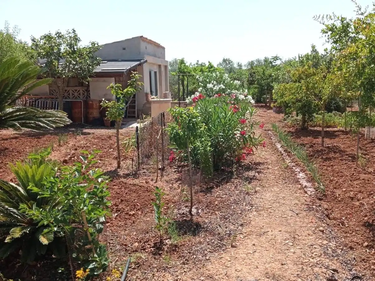 Casa o chalet en venta en Porreres