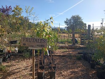 Rustikales Grundstück zum Verkauf in Villanueva de la Vera