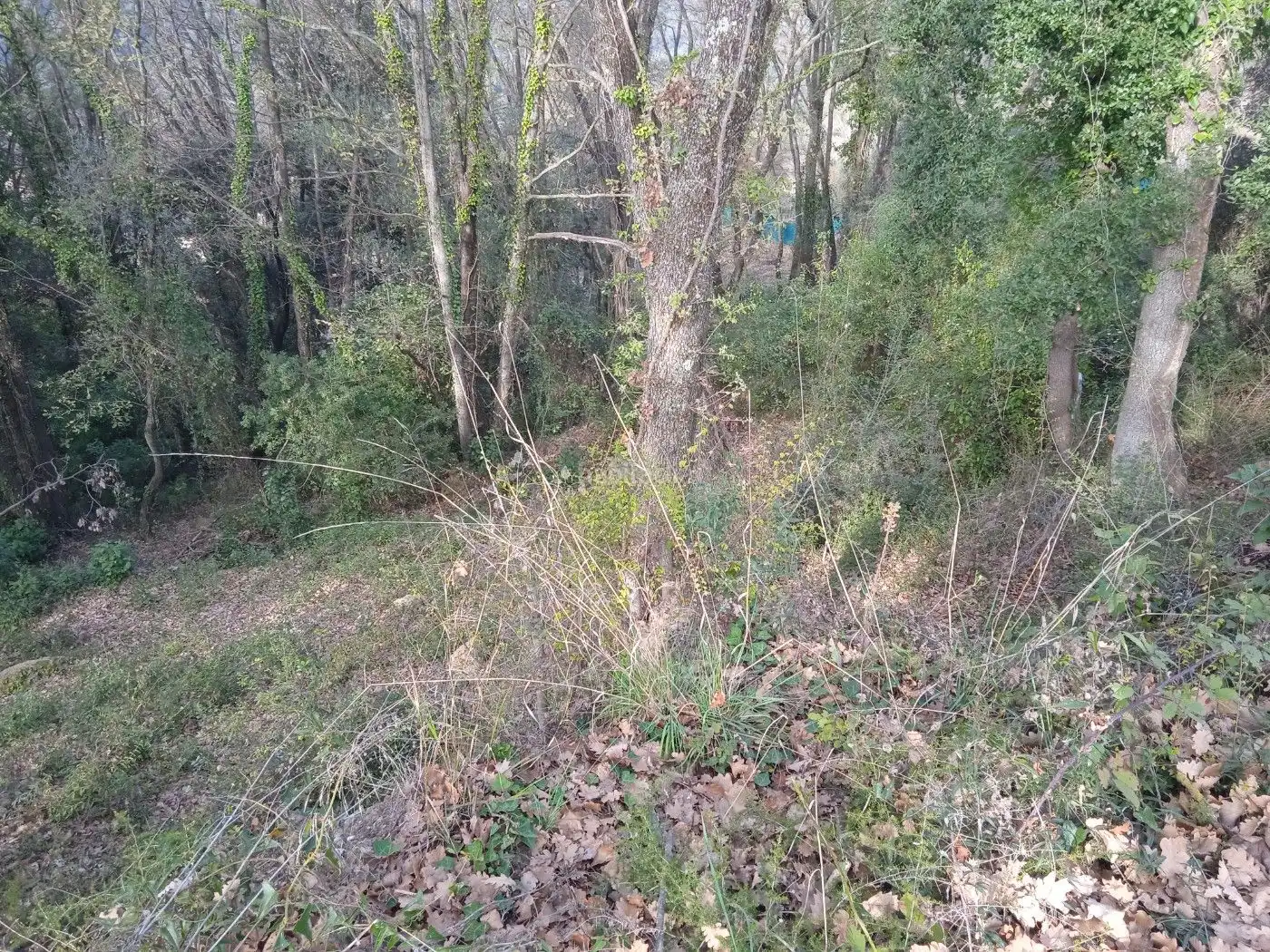 Residential land for sale in Avinguda Catalunya 29, imagen 2