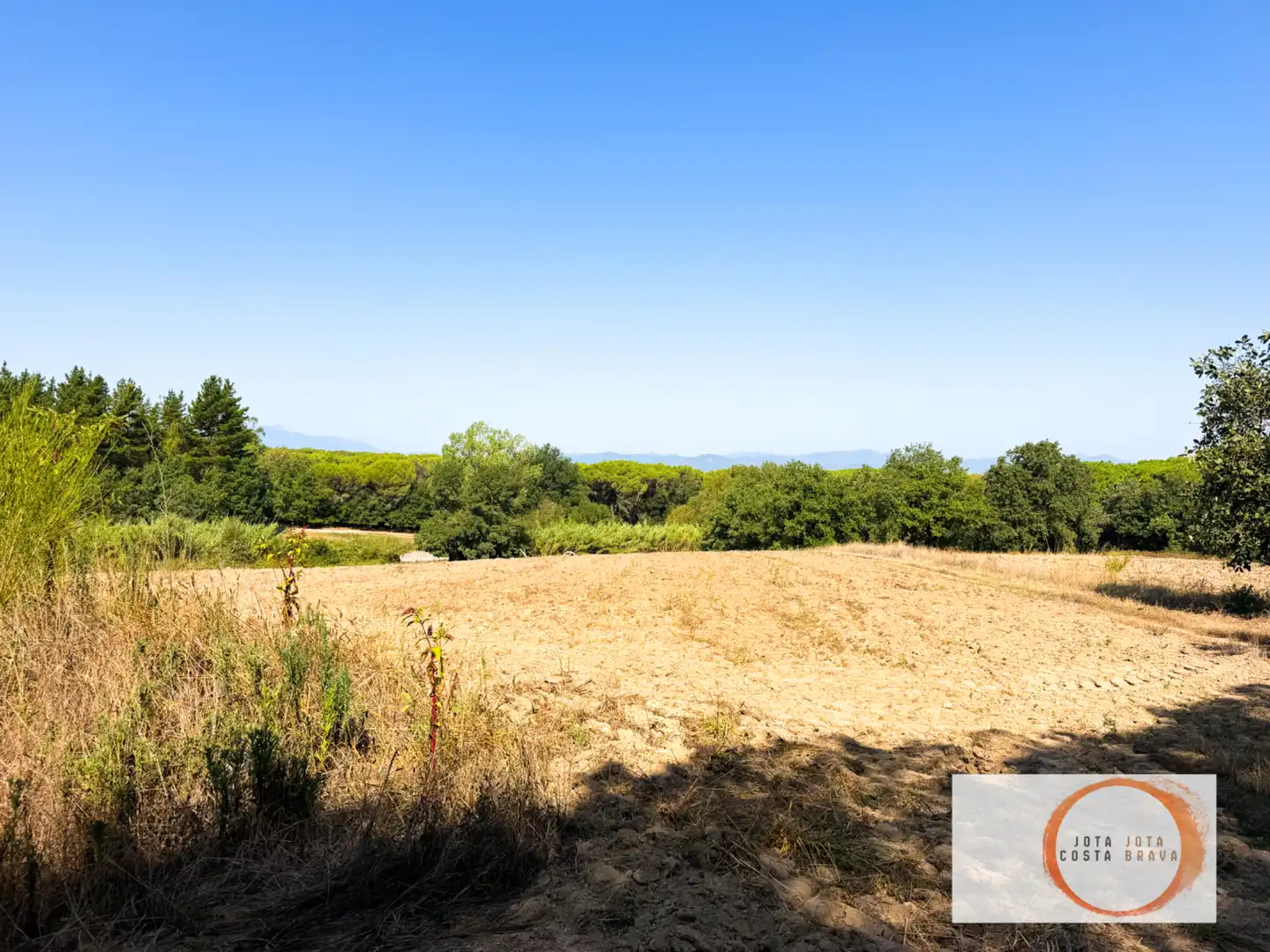 Terreno rústico en venta en Terrafortuna - Puig Ventós, imagen 7