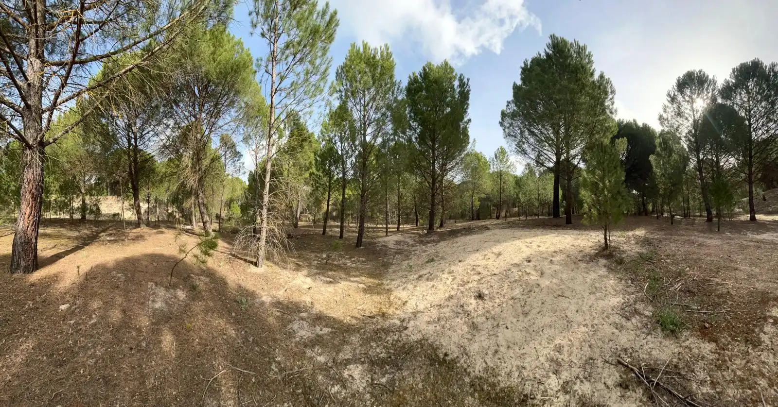 Terreno en venta en Tudela de Duero