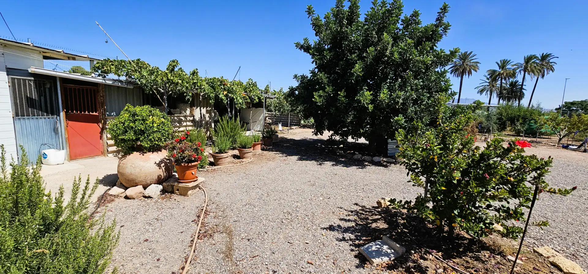 Jardín de Nave industrial en venta en Totana