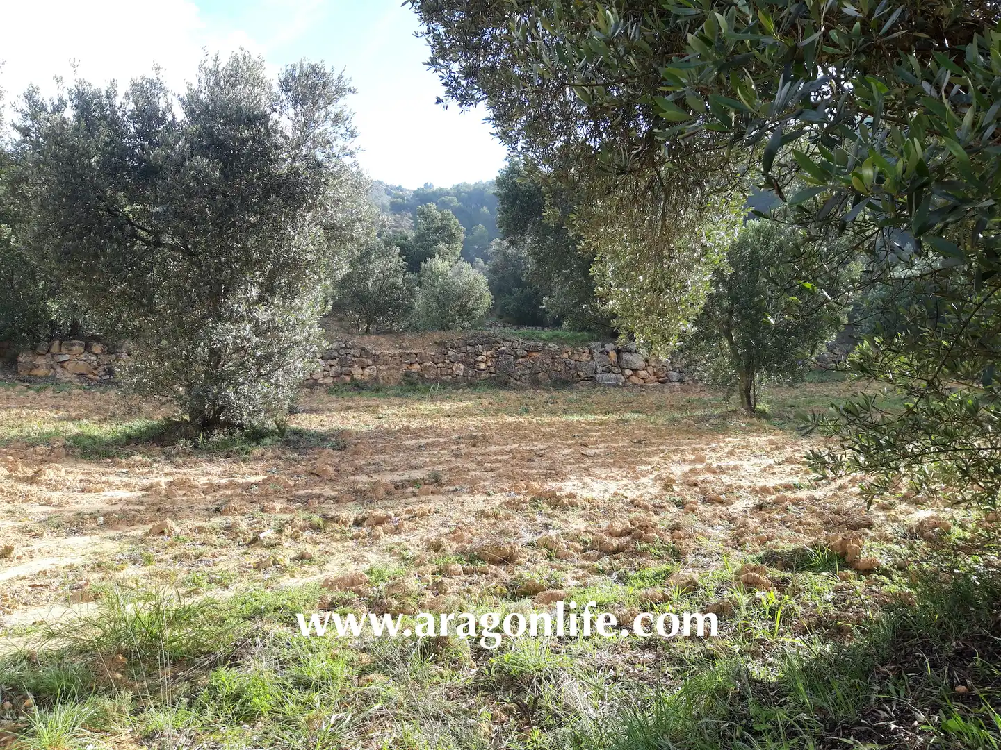 Finca rústica en venta en Batea