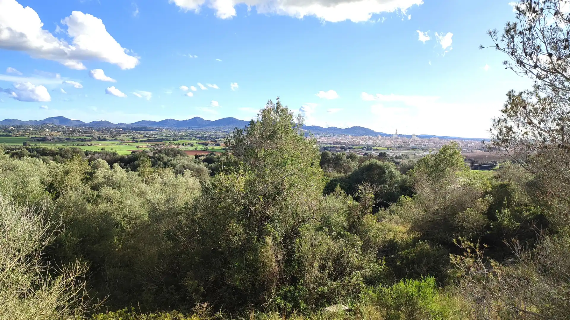 Residential land for sale in Carrer Puig des Teix 17, imagen 8
