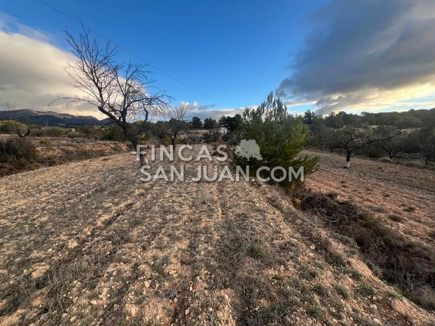 Terreny residencial en venda a Torremanzanas / La Torre de les Maçanes, imagen 8