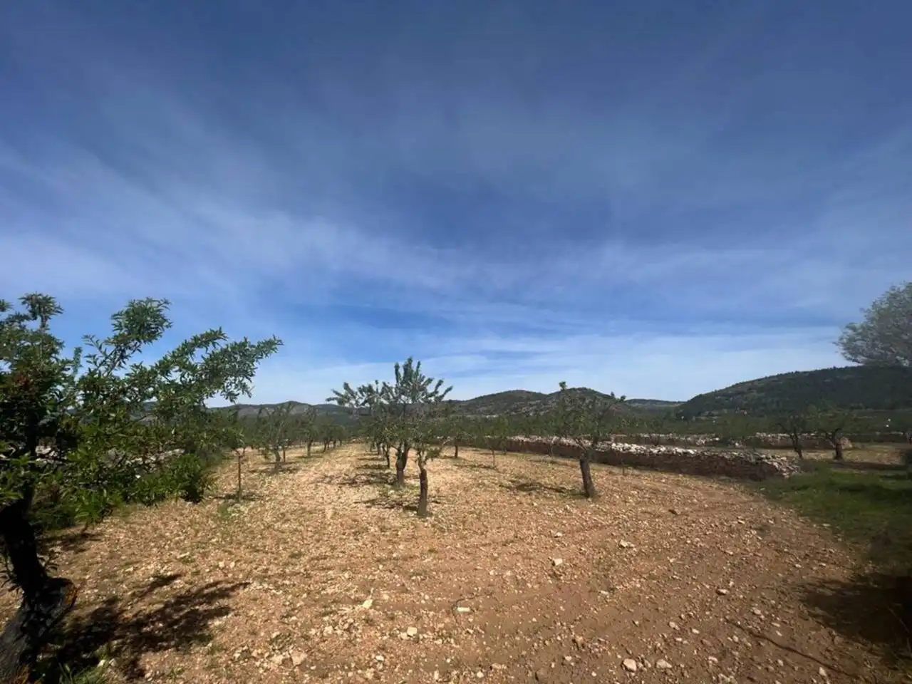 Chalet con jardín en venta en Calle Poligono, imagen 99