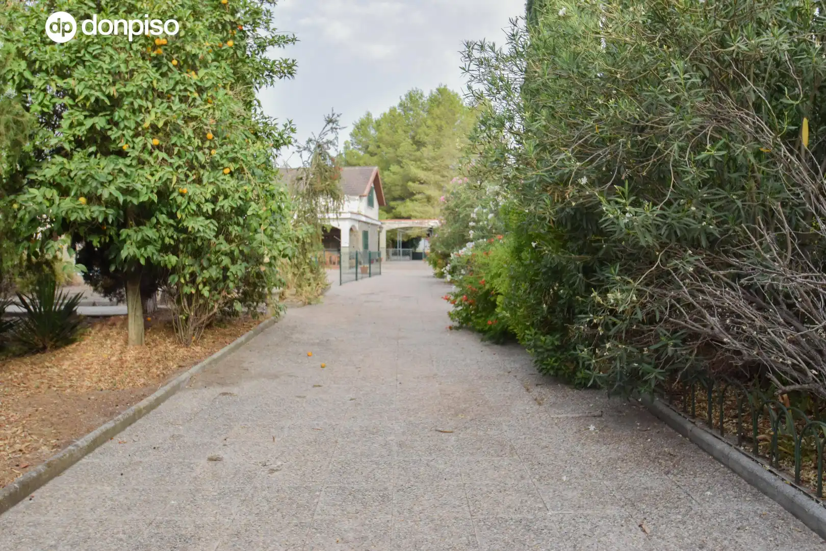 Vista exterior de Casa o xalet en venda en Chauchina amb Jardí privat, Parquet i Terrassa