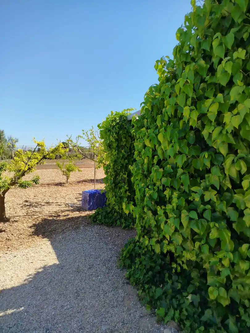 Terreno residencial en venta en Pueblo, imagen 44
