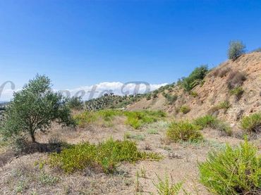Terreno residenziale in vendita a Canillas de Albaida