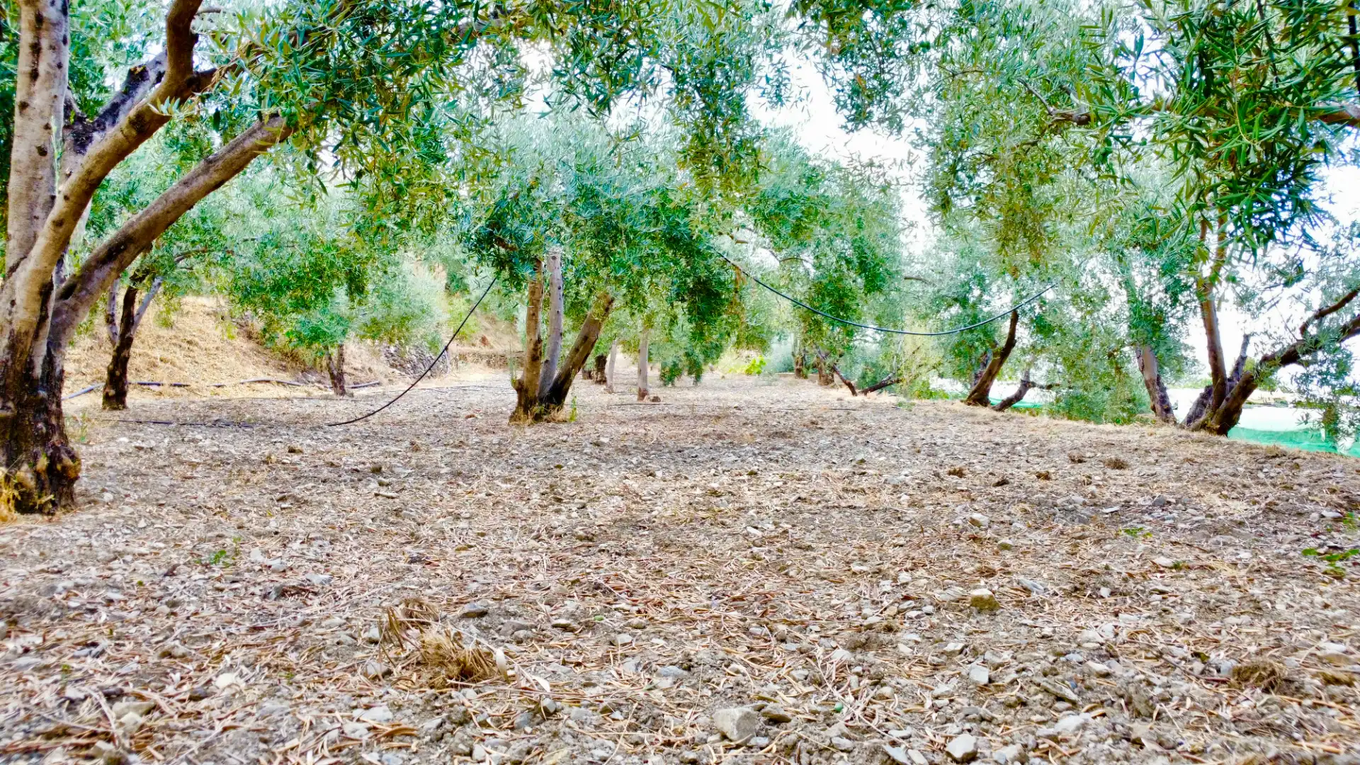 Terreno rustico in vendita a N/A, imagen 36
