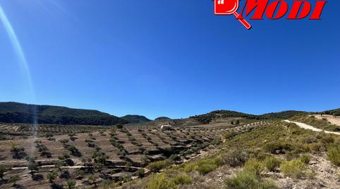 Foto 5 de Finca rústica en venda a Lecrín, Granada
