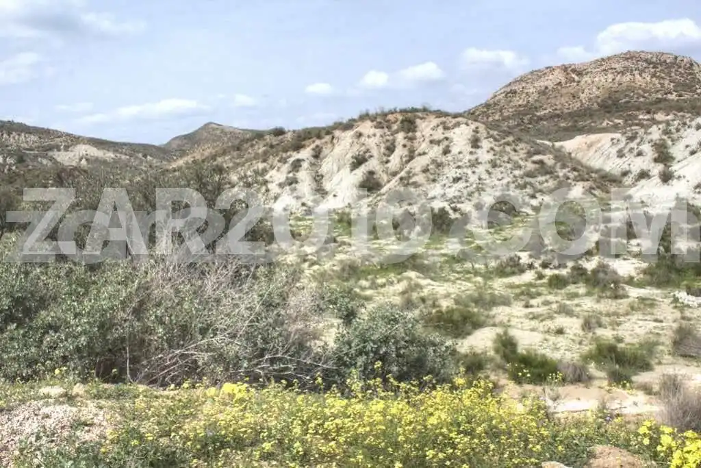 Terreny rústic en venda a Coto de los Albardinales, imagen 2