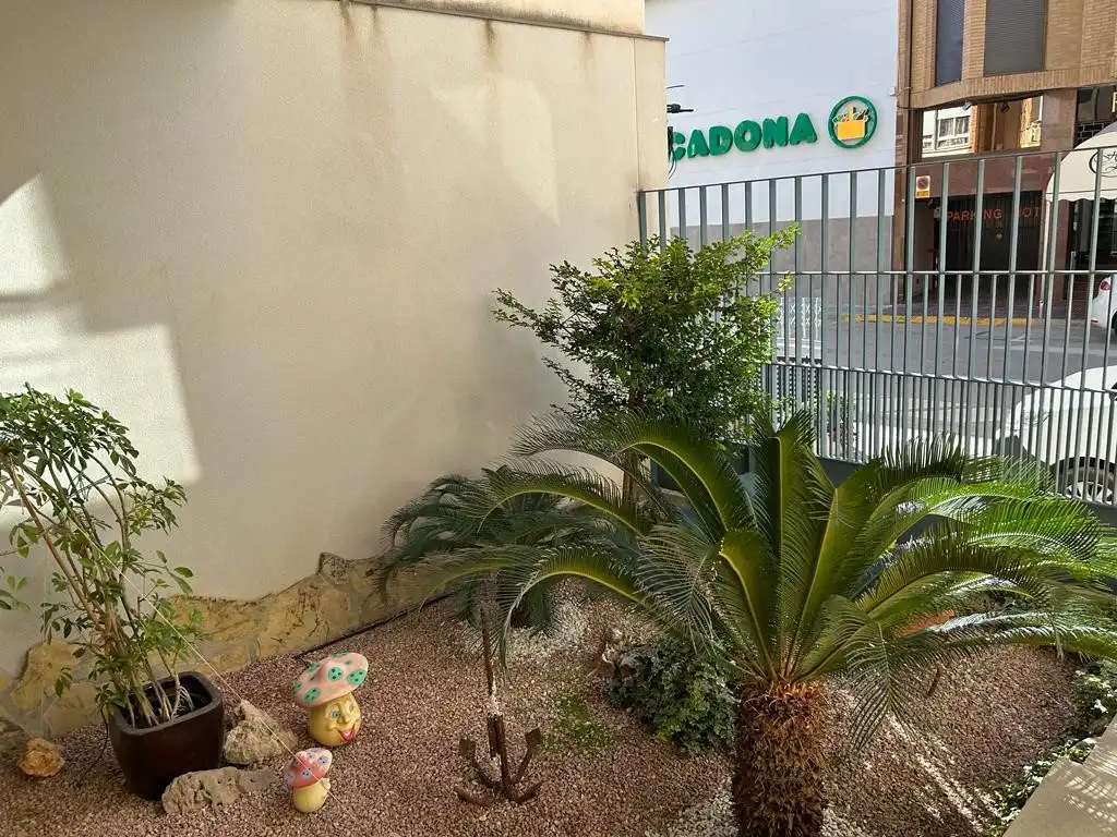 Casa con terraza en venta en Zona Papa Luna - Platja del Gurugú, imagen 13