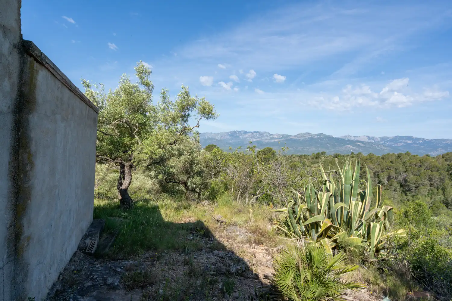 Terrain rustique à vendre à Bítem, imagen 16