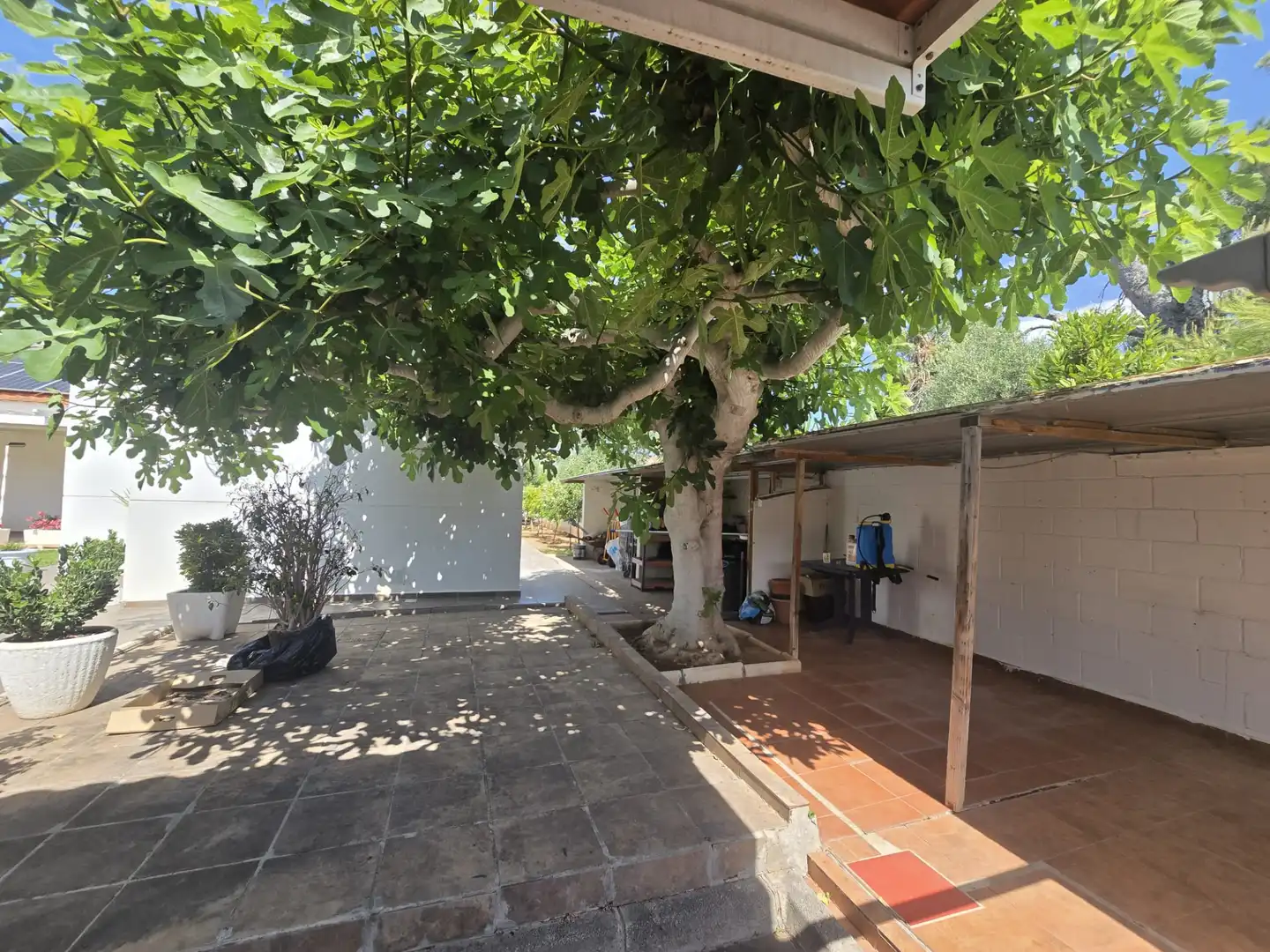 Jardí de Casa o xalet en venda en Castellón de la Plana / Castelló de la Plana amb Aire condicionat, Calefacció i Jardí privat
