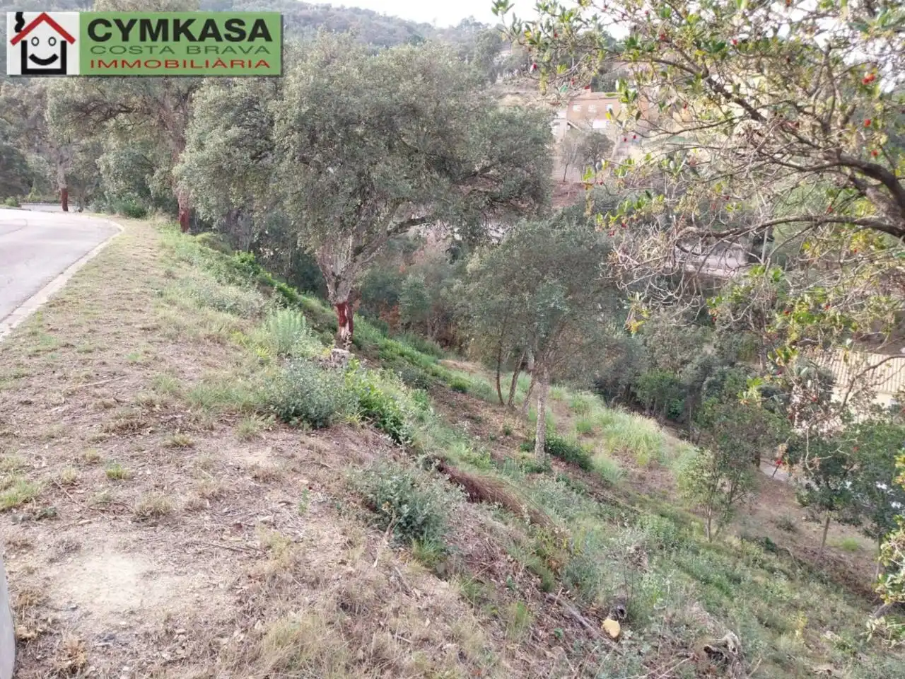 Terrain rustique à vendre à Calle LA FONT, imagen 3