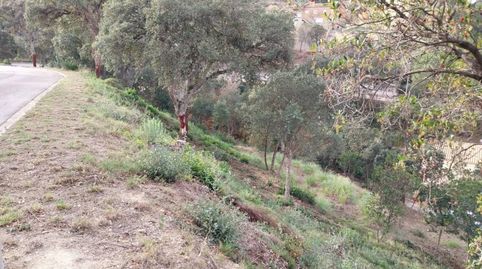 Terreno en venta en MONTBARBAT, imatge 3