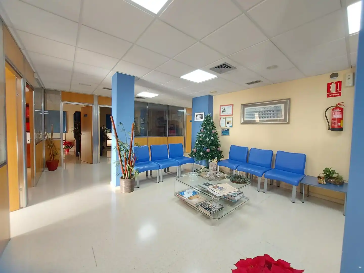 Office space with lift for sale in El Ejido Ciudad, imagen 4