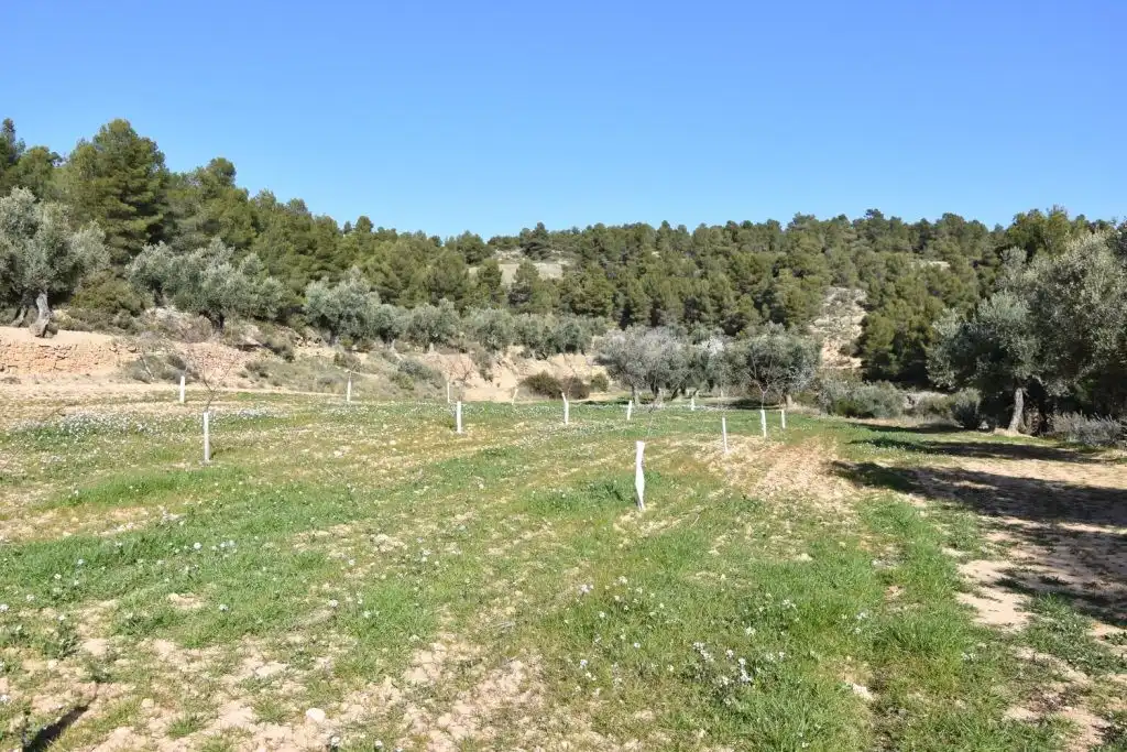 Country homes for sale in La Fresneda