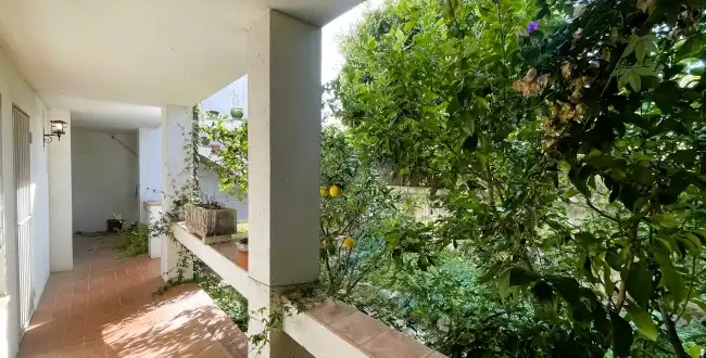 Casa con jardín en venta en Vila de Palafrugell, imagen 11