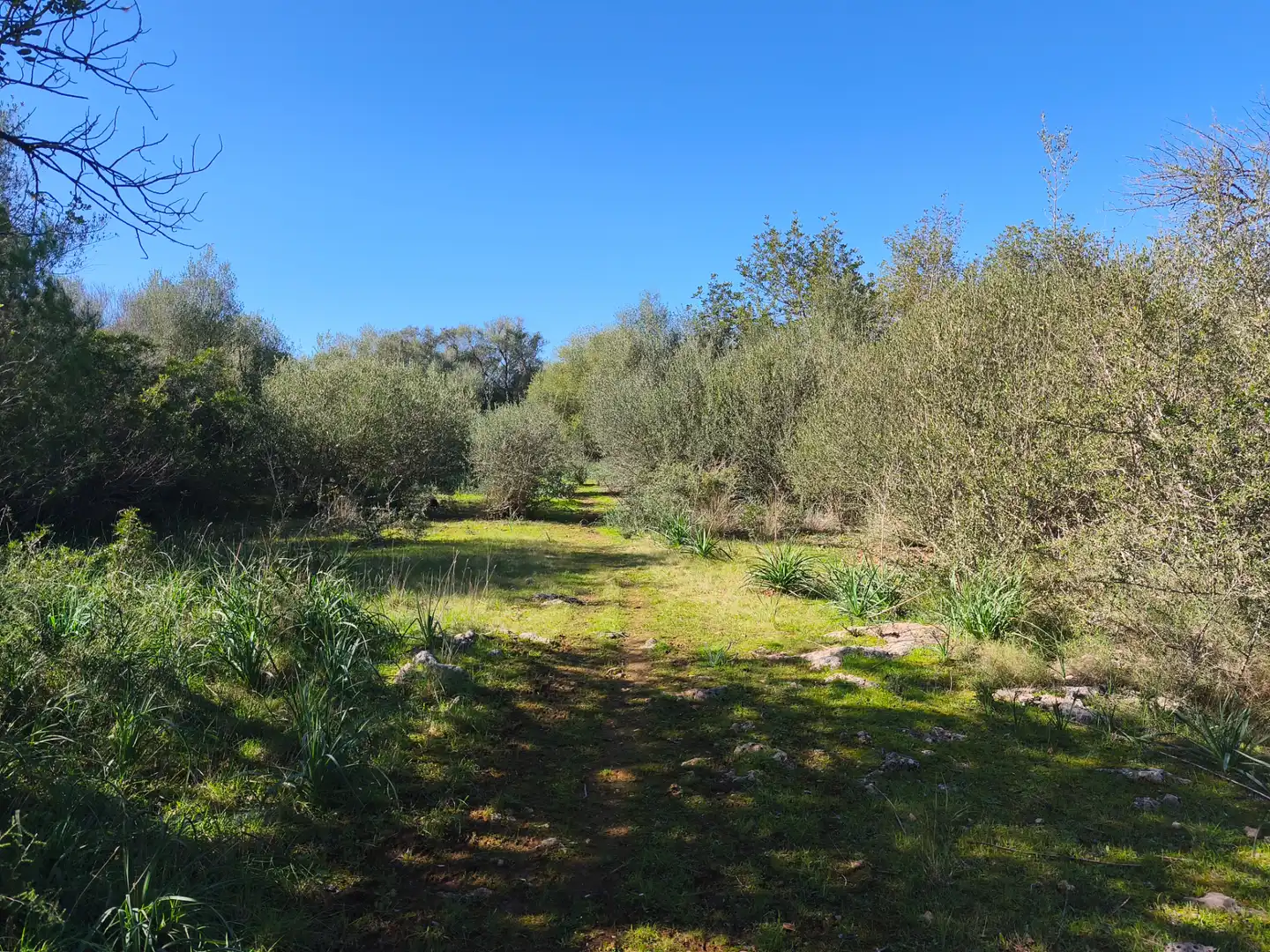 Terreno residencial en venta en Carrer Ruberts 24, imagen 14