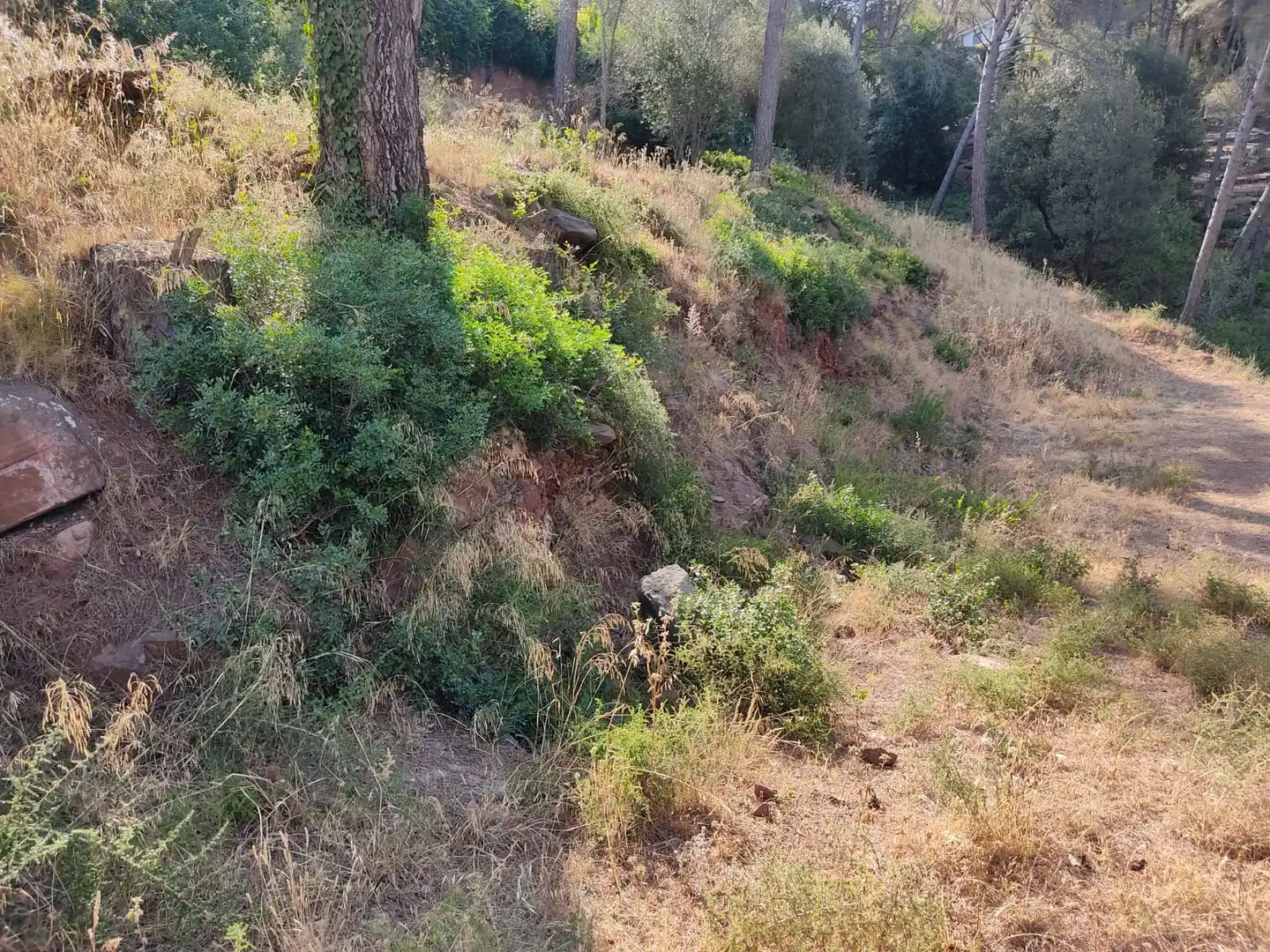 Residential for sale in Castellví de Rosanes