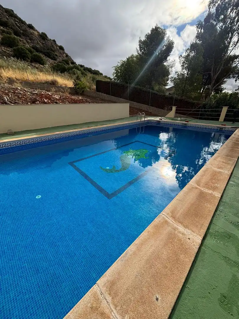 Piscina de Casa o chalet en venta en Moral de Calatrava con Piscina comunitaria
