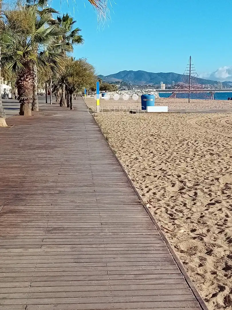 Local comercial de lloguer a Port, imagen 4