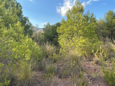 Terreno residencial en venta en Totana