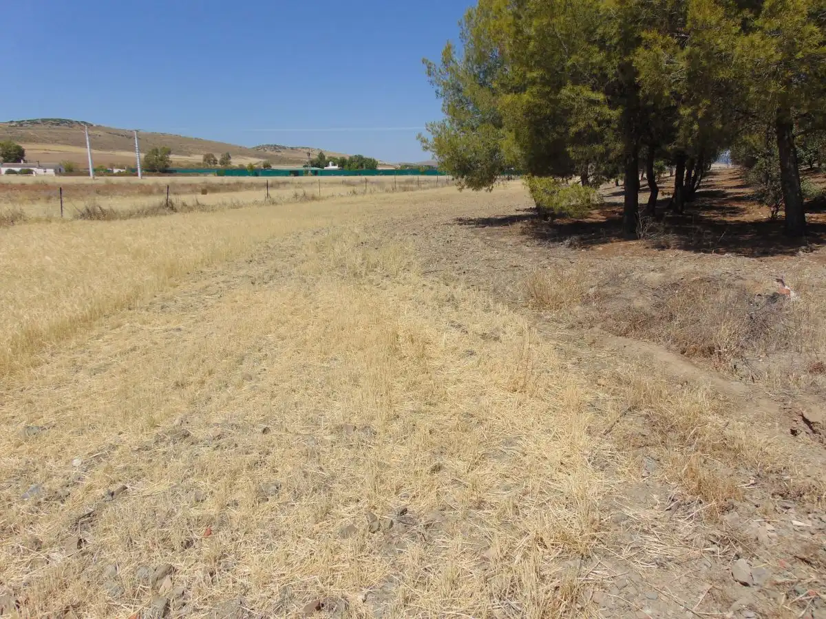 Chalet en venta en Santa Cruz de Mudela, imagen 11