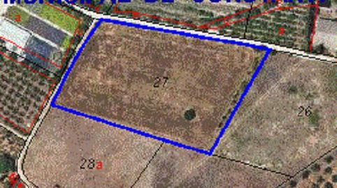 Parc. Rúst. en venta en Constanti., immagine 4