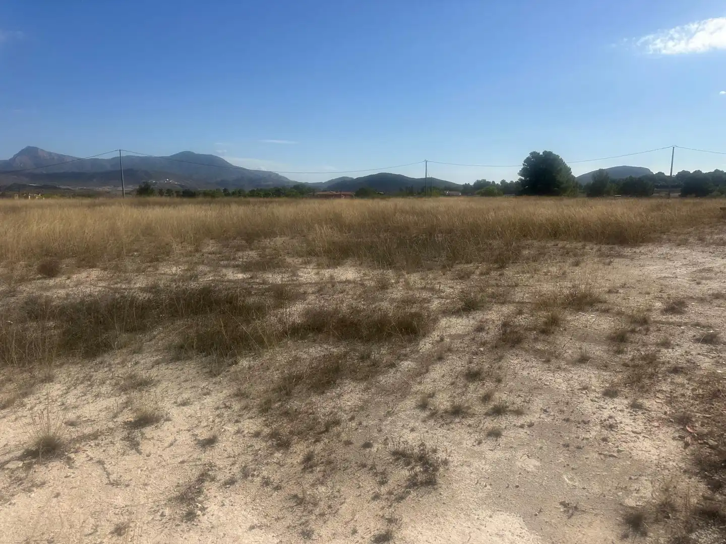 Rural land for sale in Biescas, imagen 9