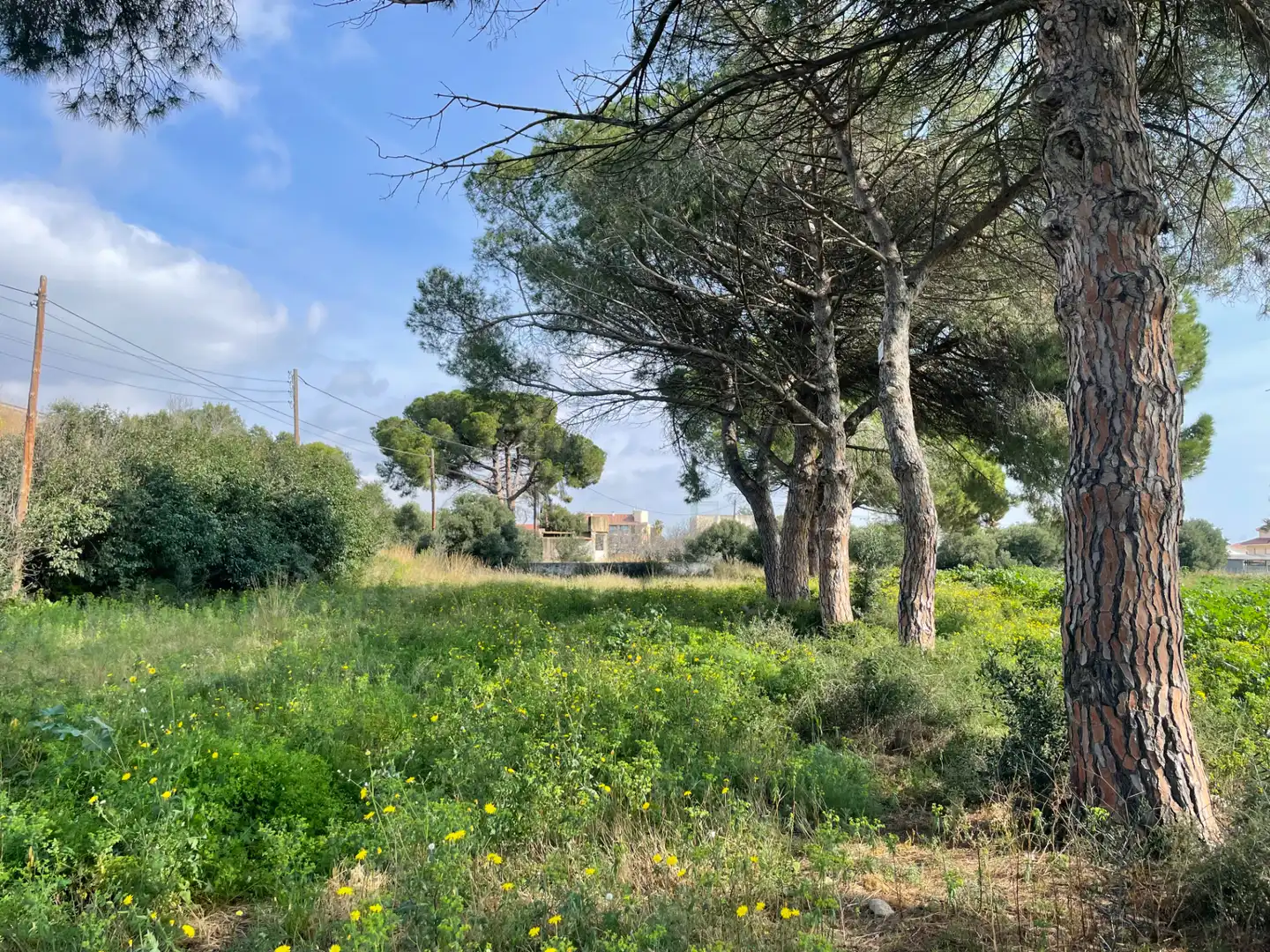 Residential zum Verkauf in Cambrils