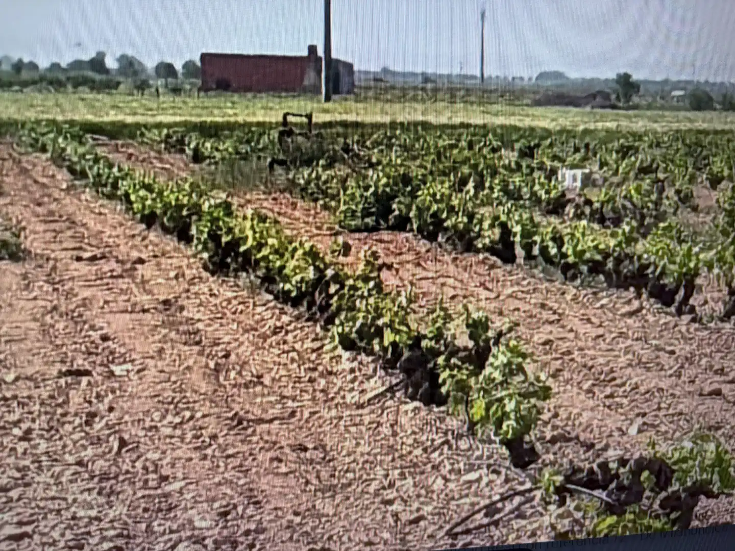 Terreno rústico en venta en N/A, imagen 9