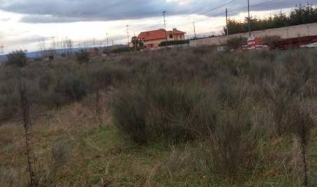 Foto 4 de Finca rústica en venta en Flores de Sil - La Placa, Ponferrada