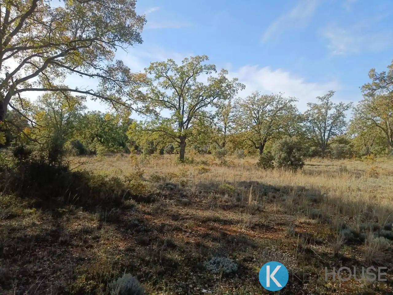Land for sale in Pastrana