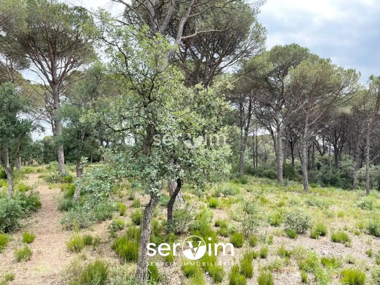 Terrain résidentiel à vendre à Avenida Malavella 206, imagen 8